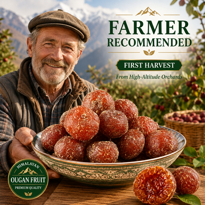 ⏳ Once-a-Year Himalayan Amla Harvest — Hand-Picked Premium Fruit Bites | Limited Seasonal Batch-TY