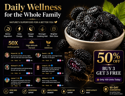 High-Altitude "King of Anthocyanins" Mulberries 🏔️✨-TOP1