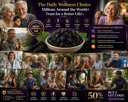 High-Altitude "King of Anthocyanins" Mulberries 🏔️✨-TOP1
